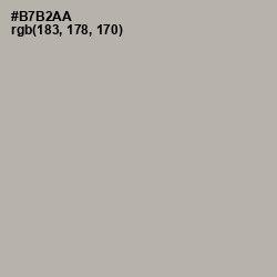 #B7B2AA - Silk Color Image