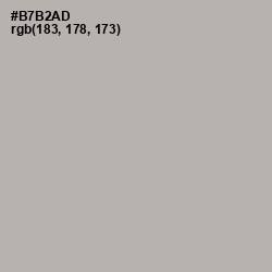 #B7B2AD - Silk Color Image