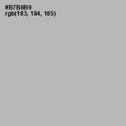 #B7B8B9 - Pink Swan Color Image