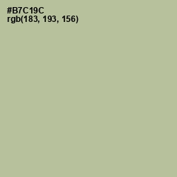 #B7C19C - Rainee Color Image