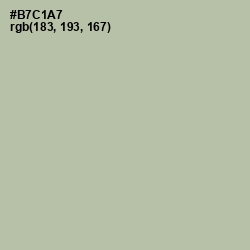 #B7C1A7 - Rainee Color Image