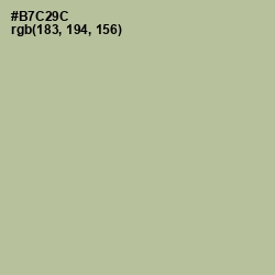 #B7C29C - Rainee Color Image