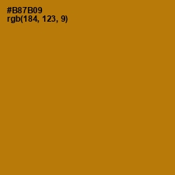 #B87B09 - Pirate Gold Color Image