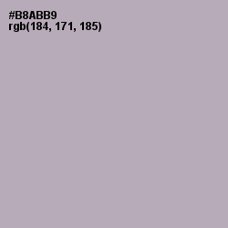 #B8ABB9 - Nobel Color Image