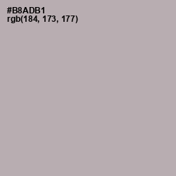 #B8ADB1 - Nobel Color Image