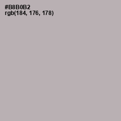 #B8B0B2 - Pink Swan Color Image