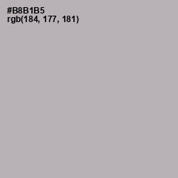 #B8B1B5 - Pink Swan Color Image
