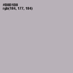 #B8B1B8 - Nobel Color Image