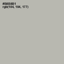 #B8B8B1 - Tide Color Image