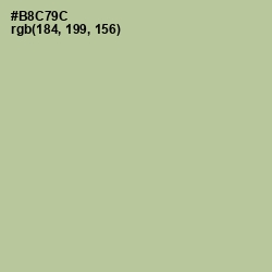 #B8C79C - Rainee Color Image