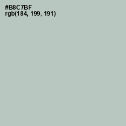 #B8C7BF - Clay Ash Color Image