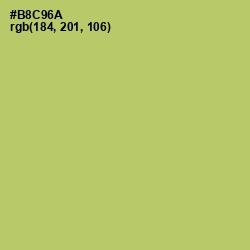 #B8C96A - Wild Willow Color Image