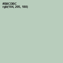 #B8CDBC - Clay Ash Color Image