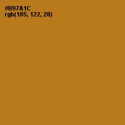 #B97A1C - Bourbon Color Image