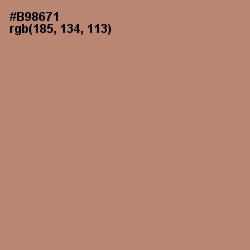 #B98671 - Sandal Color Image