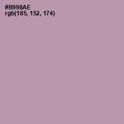#B998AE - Amethyst Smoke Color Image
