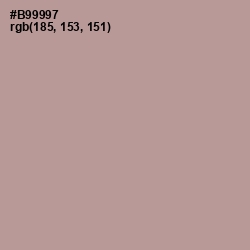 #B99997 - Thatch Color Image