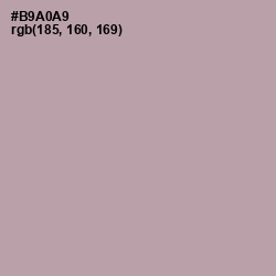 #B9A0A9 - Shady Lady Color Image