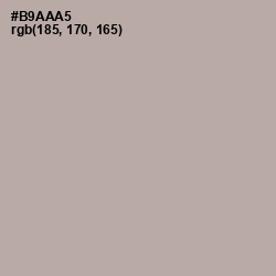 #B9AAA5 - Nomad Color Image