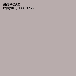 #B9ACAC - Nobel Color Image