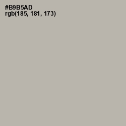 #B9B5AD - Silk Color Image