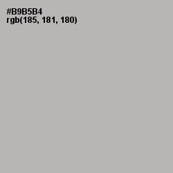 #B9B5B4 - Pink Swan Color Image