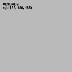 #B9BAB9 - Pink Swan Color Image