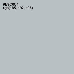 #B9C0C4 - Silver Sand Color Image
