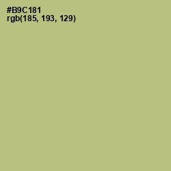 #B9C181 - Feijoa Color Image