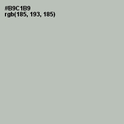 #B9C1B9 - Green Spring Color Image