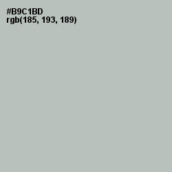#B9C1BD - Green Spring Color Image