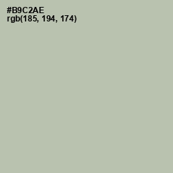 #B9C2AE - Rainee Color Image