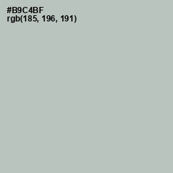 #B9C4BF - Clay Ash Color Image