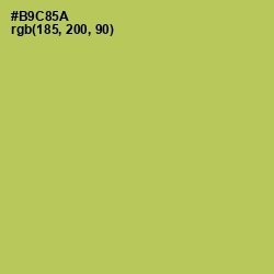 #B9C85A - Celery Color Image