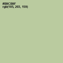 #B9CB9F - Rainee Color Image