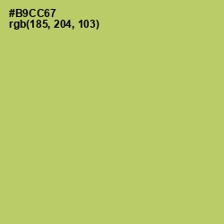 #B9CC67 - Wild Willow Color Image