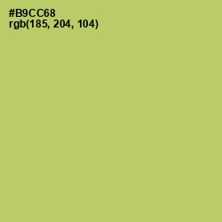 #B9CC68 - Wild Willow Color Image