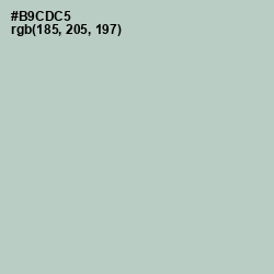 #B9CDC5 - Powder Ash Color Image