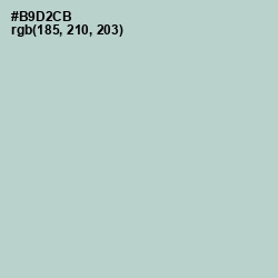 #B9D2CB - Jet Stream Color Image