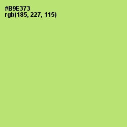 #B9E373 - Wild Willow Color Image
