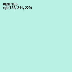 #B9F1E5 - Ice Cold Color Image