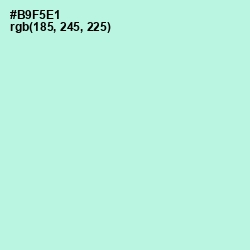 #B9F5E1 - Ice Cold Color Image