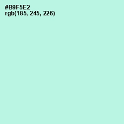 #B9F5E2 - Ice Cold Color Image