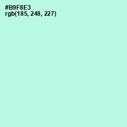 #B9F8E3 - Ice Cold Color Image
