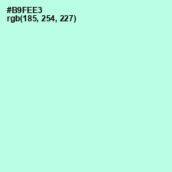 #B9FEE3 - Ice Cold Color Image