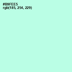 #B9FEE5 - Ice Cold Color Image