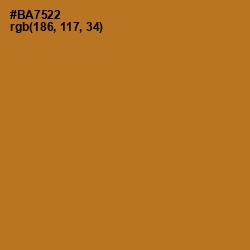 #BA7522 - Copper Color Image