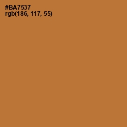 #BA7537 - Copper Color Image