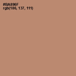 #BA896F - Sandal Color Image