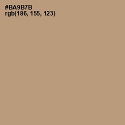 #BA9B7B - Sandrift Color Image